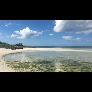 Meet your Posher, Claudia